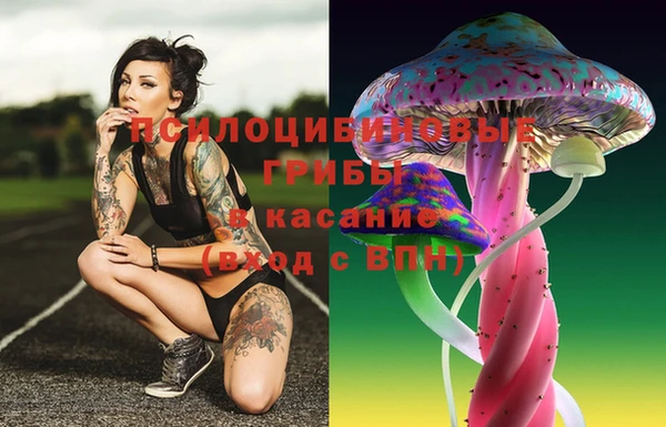 соль курить ск Арсеньев