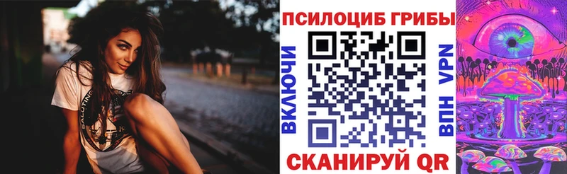 Галлюциногенные грибы мицелий  наркота  Новодвинск 
